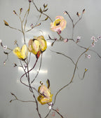 Still Blooming no. 01
